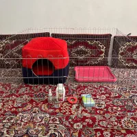 تمامی وسایل سگ
