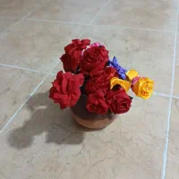 شاخه گلهای دکوری به فروش میرسد