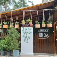 نقاشی دیواری و پتینه حرفه‌ای  در مشهد