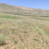 فروش زمین کشاورزی - نهرخلج