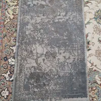 پادری نو