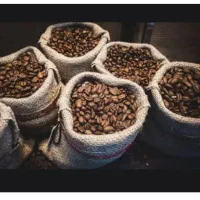 عمده فروشی دون قهوه آریل