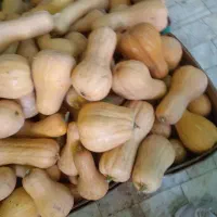 ‌کدو  بهاره سالم بدون ضرب خوردگی