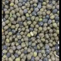 سه تن ماش ارتشی بسیار تمیز و درشت