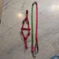 قلاده و لیش مناسب سگ و گربه