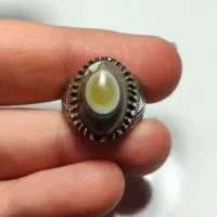 باباقوری کهنه دستساز