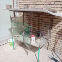 قفس کبوتر