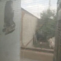 اجاره مغازه کنار بلوار اصلی ۳دهنه