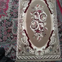 سه جفت پشتی پانصد شانه