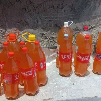 ابغوره تازه امسال ماله غوره غریب
