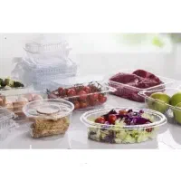 ظرف یکبارمصرف دلی لانچ فوکری ظروف یکبار مصرف