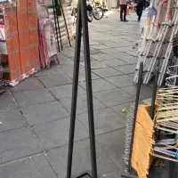 رگال دو شاخ