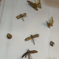 پروانه سنجاقک و کفشدوزک  دکوری
