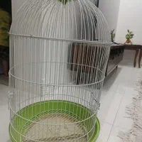 قفس پرنده