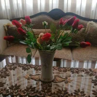 سطل وجادستمال. توپ.دیس پیشدستی. تابلو. گل