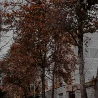 فروش زمین آماده تغییر کاربری