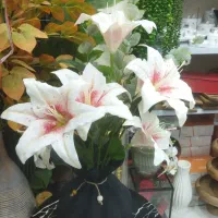 فروش ویژه اکسسوری