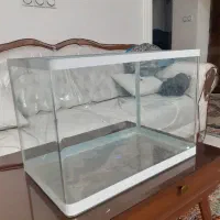اکواریوم شرکتی شیشه خم شفاف
