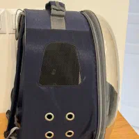 باکس و ناخنگیر گربه