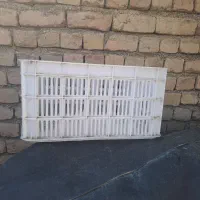 سبد سفید