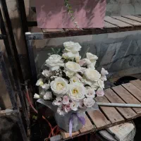 جار گل گلدان باکس فقط ۱۳۰۰