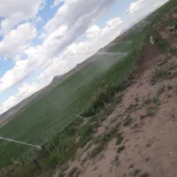 یونجه پربرگه پرس