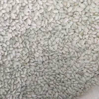 لوبیا سفید و انواع حبوبات کالپوش بهترین کیفیت