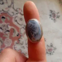 شجر کلکسیونی استثنایی منظره درجه یک کار دست