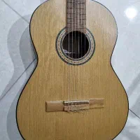 گیتار دالاهو همراه با کاور