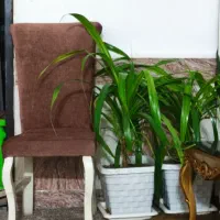 صندلی ناهار خوری