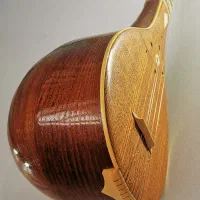 سه تار کاسه متوسط