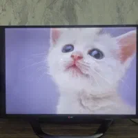 فروش|تلویزیون و پروژکتور|شهر ری, جوانمرد قصاب|دیوار