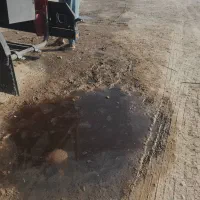 نیازمند کار در سرایداری
