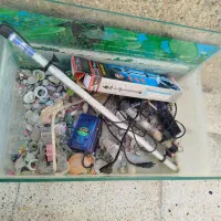 آکواریوم ماهی
