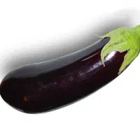 بادمجان سیاه اعلا