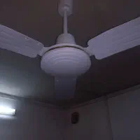 پنکه سقفی