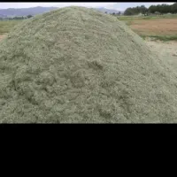 یونجه
