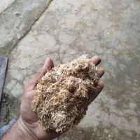 کاه|لوازم جانبی حیوانات|خان ببین, |دیوار