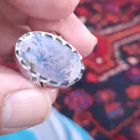 شجر زیبا وخوشگل