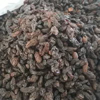 کشمش مویز