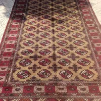 قالی زمینه کرم ترکمن
