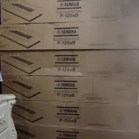 Yamaha P125aB|پیانو، کیبورد، آکاردئون|بوشهر, |دیوار