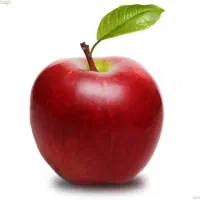 نعون میوه فروشی