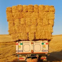فروش کاه و پرس