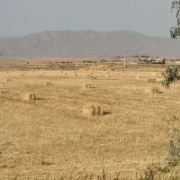 پرس جو