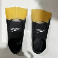 فین شنا