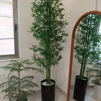 درختچه بامبو مصنوعی با گلدان مشکی