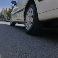 سمند معولی