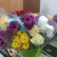 گل طبیعی|گل و گیاه طبیعی|اهواز, کوی مهدیس|دیوار