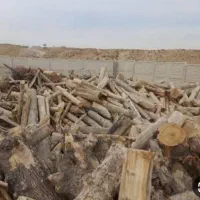 خرید فروش چوب صنعتی هیزم